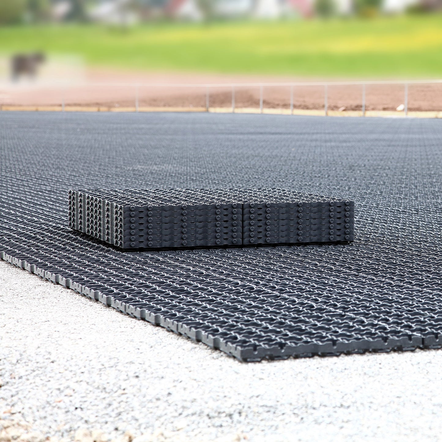 Reitplatzmatte ProGrid RG40 Evolution - 1 m² entspricht 4 Platten 50x50x4 cm