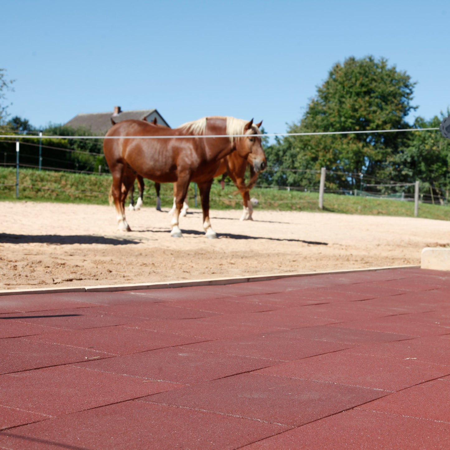 Komfort Stall- und Boxenmatte, rotbraun, 1m² entspricht 4 Platten mit je 50x50x4cm