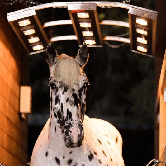 Pferdesolarium Sirocco