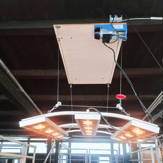 Elektrische Hebevorrichtung für Pferdesolarien