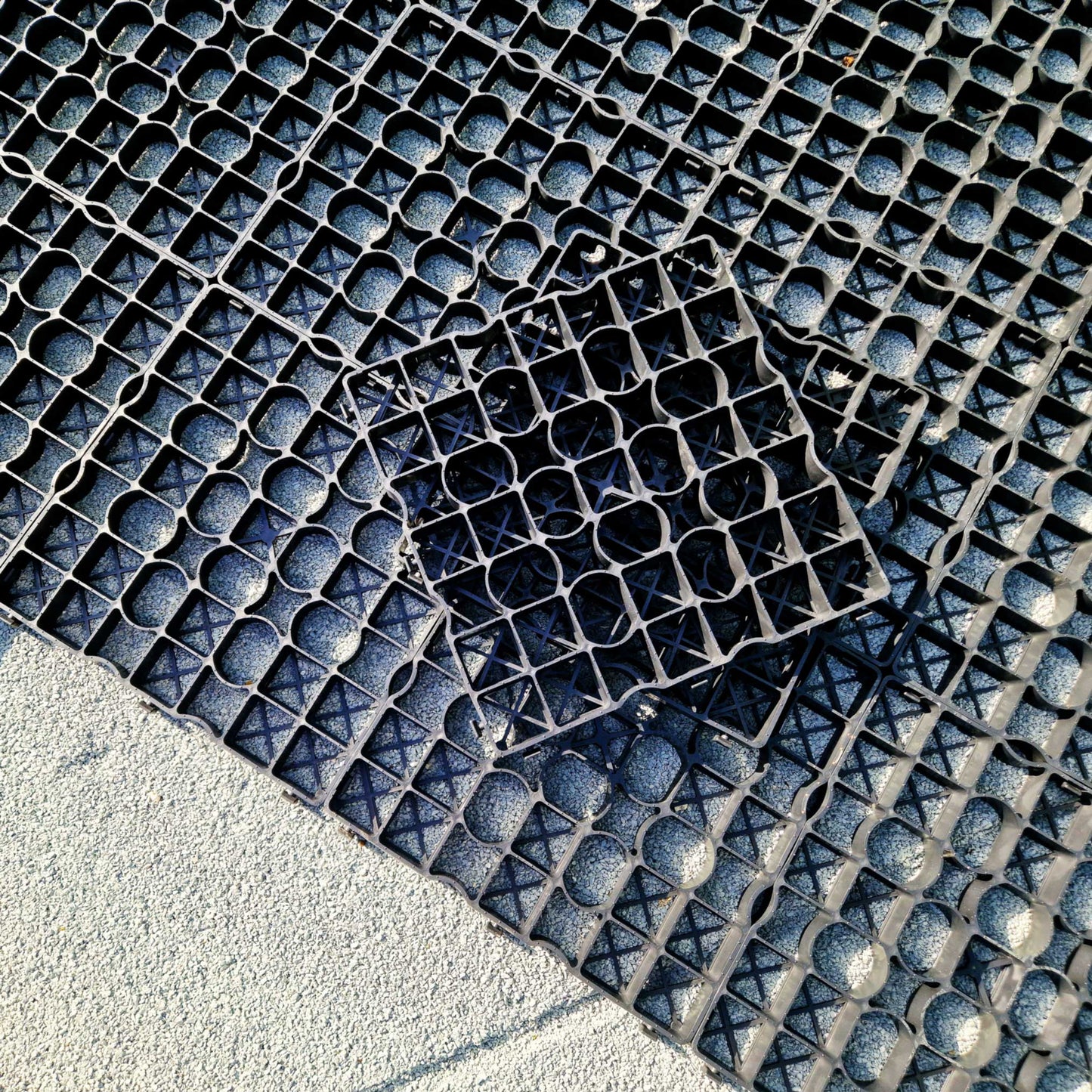 Paddockplatte - ProGrid RG 40 - 1 m² entspricht 4 Platten 50x50x4 cm