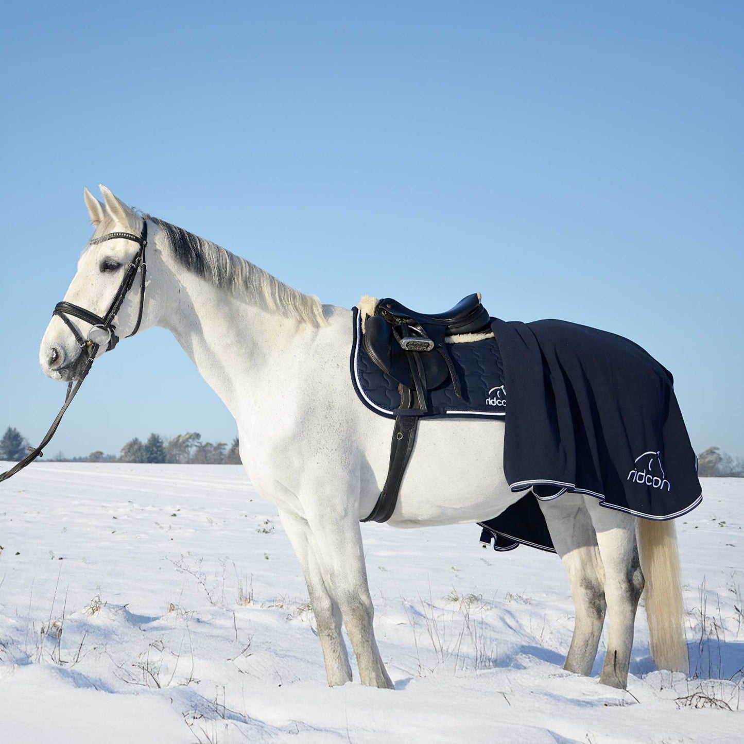 Ridcon Schabracke in blau