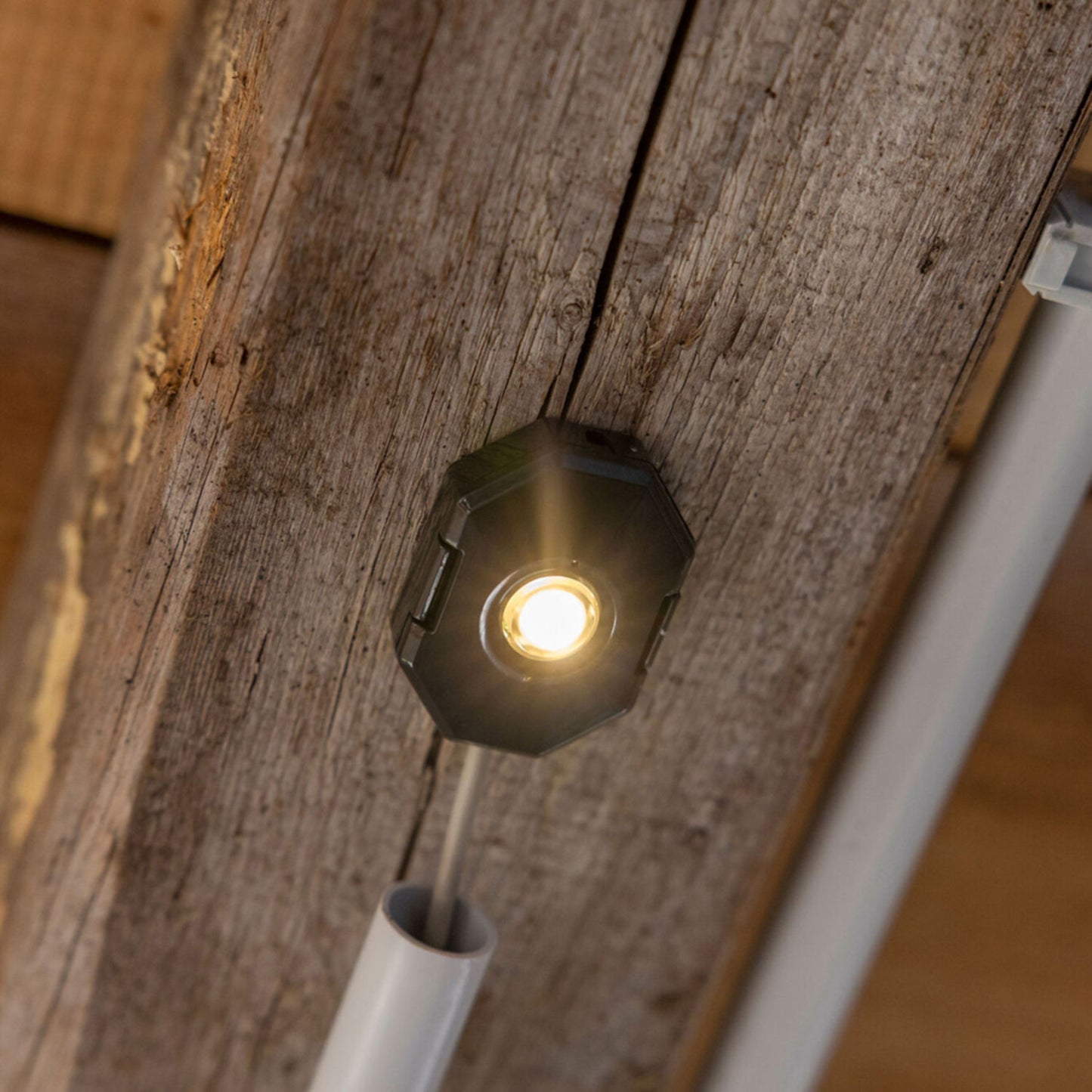 SmartCoop LED-Stallbeleuchtung 1,5 Watt