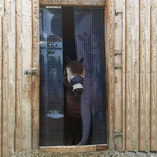 Fliegen-Streifenvorhang-Set mit Stanzungen, 1,30m breit