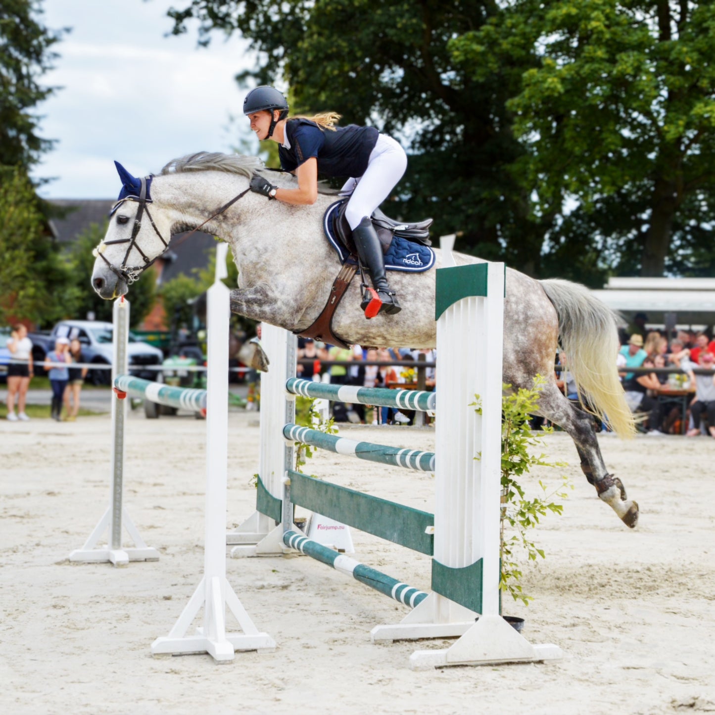 Ridcon Schabracke in blau