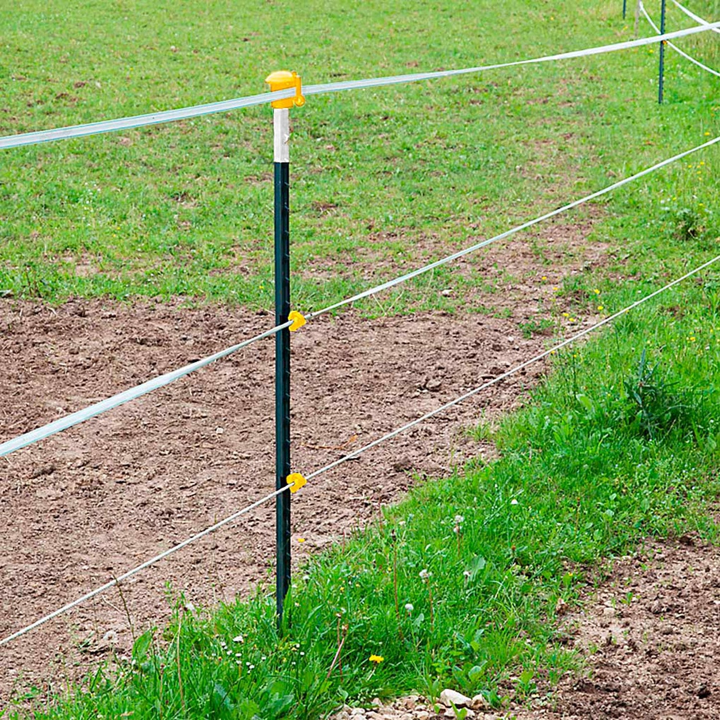 Metallpfahl T-Pfosten 182cm