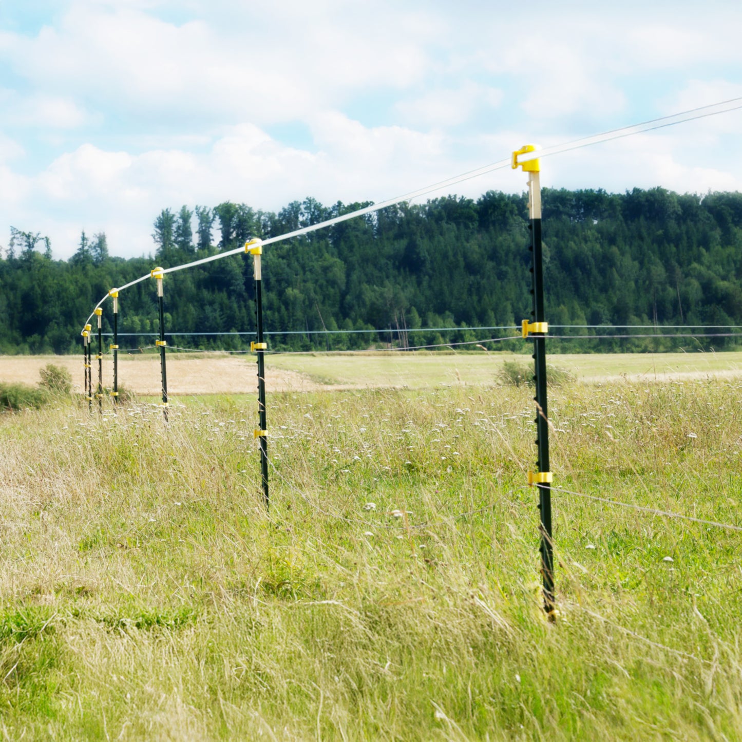 Metallpfahl T-Pfosten 213cm