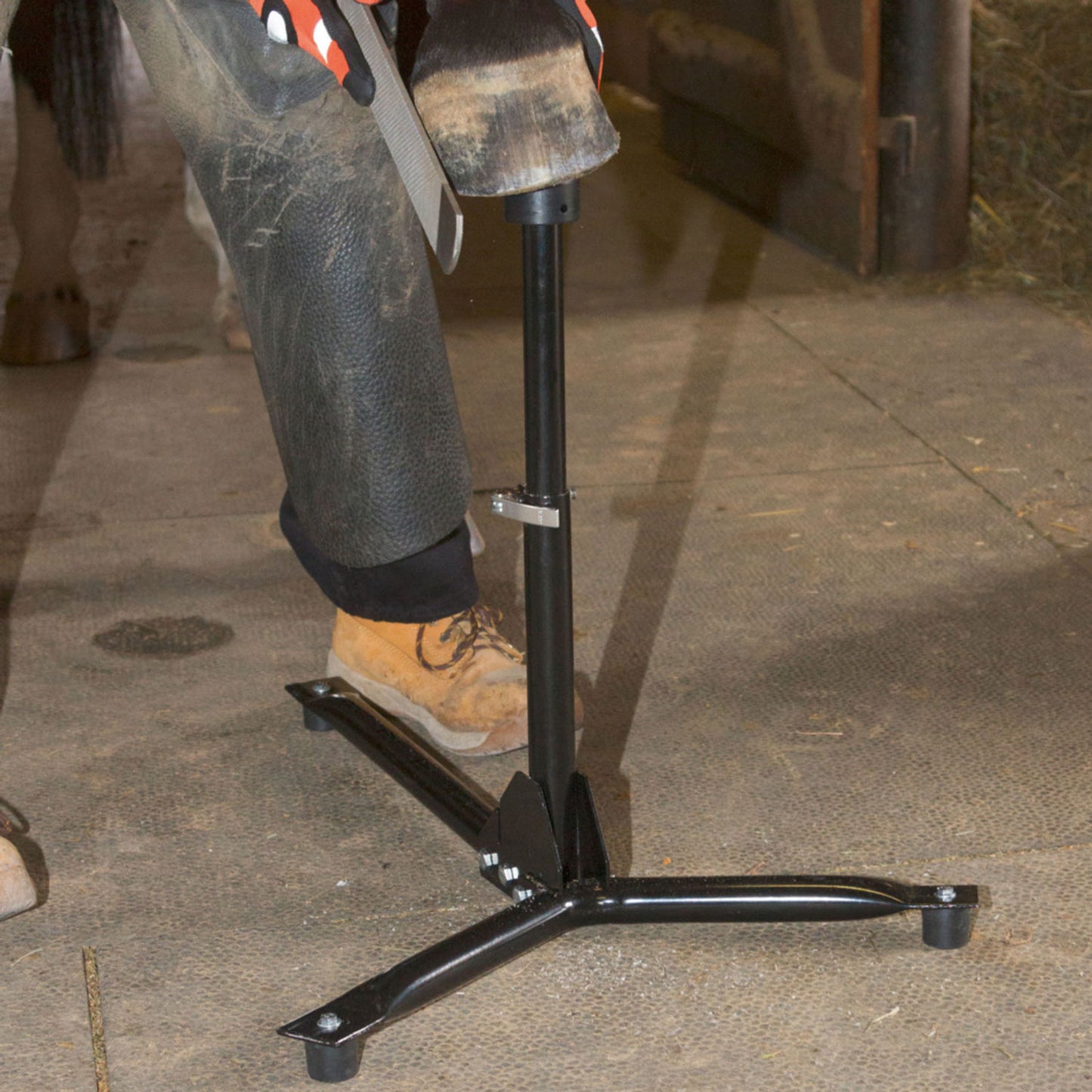 Hufbock EcoFlex für Vorder- und Hinterhuf