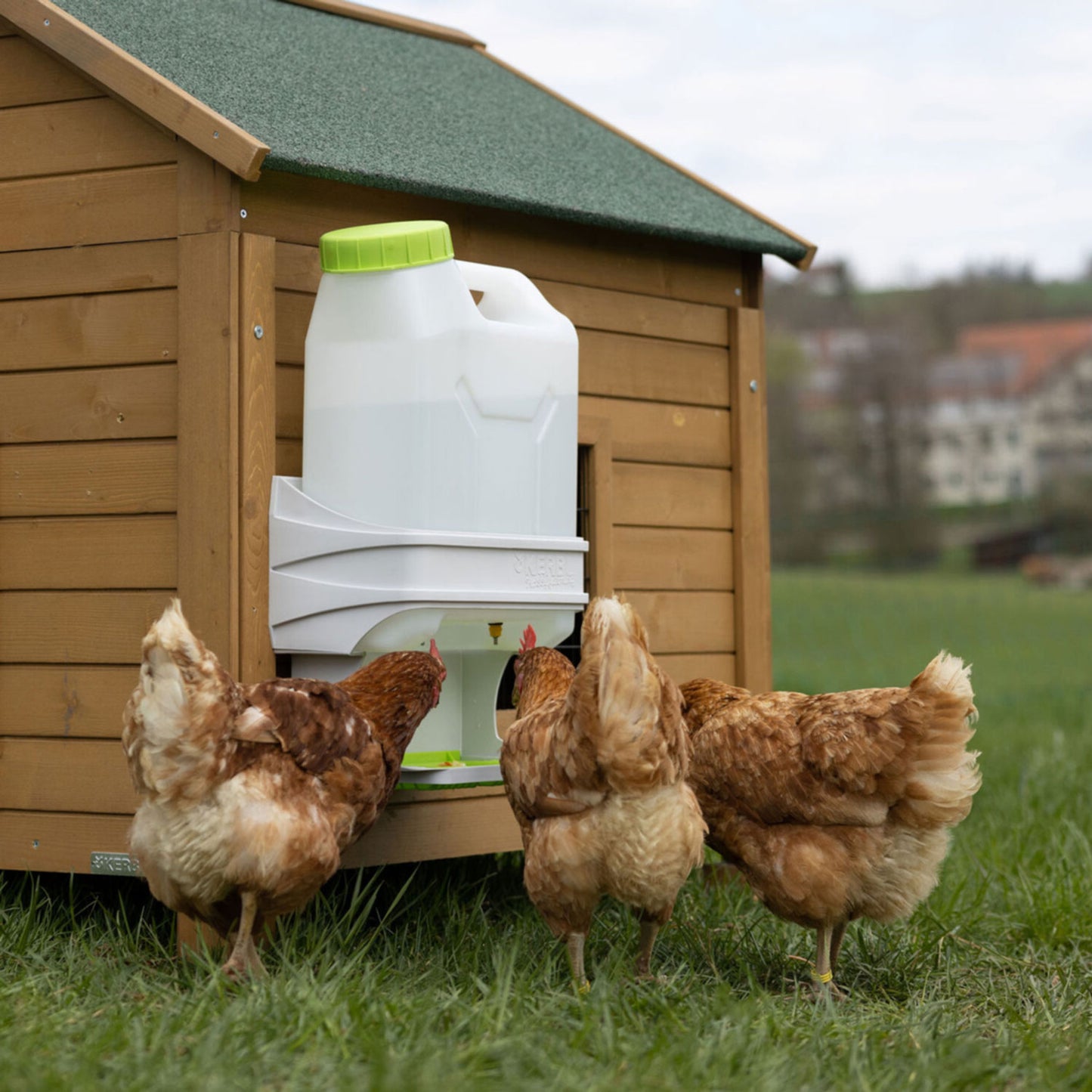 SmartCoop Geflügeltränke mit 10 Liter