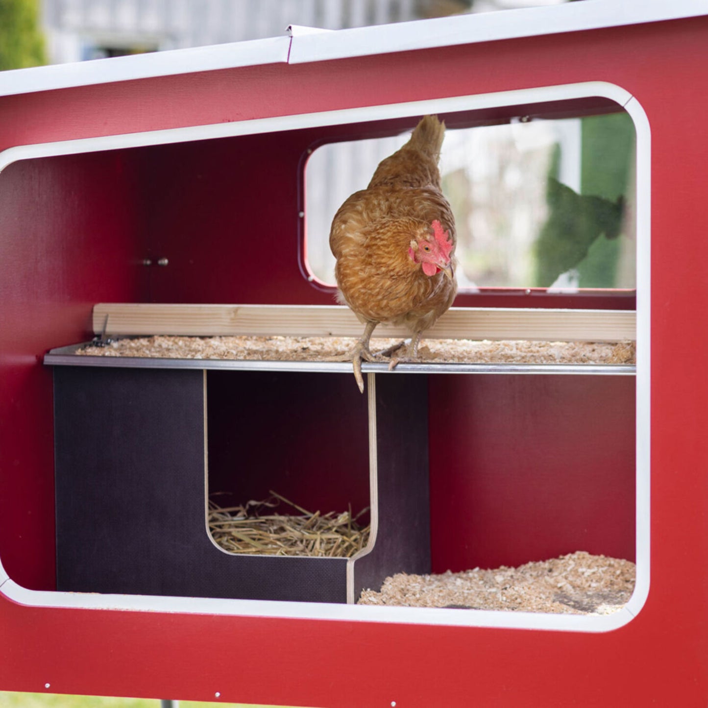 Mobile Coop Hühnerstall aus Holz