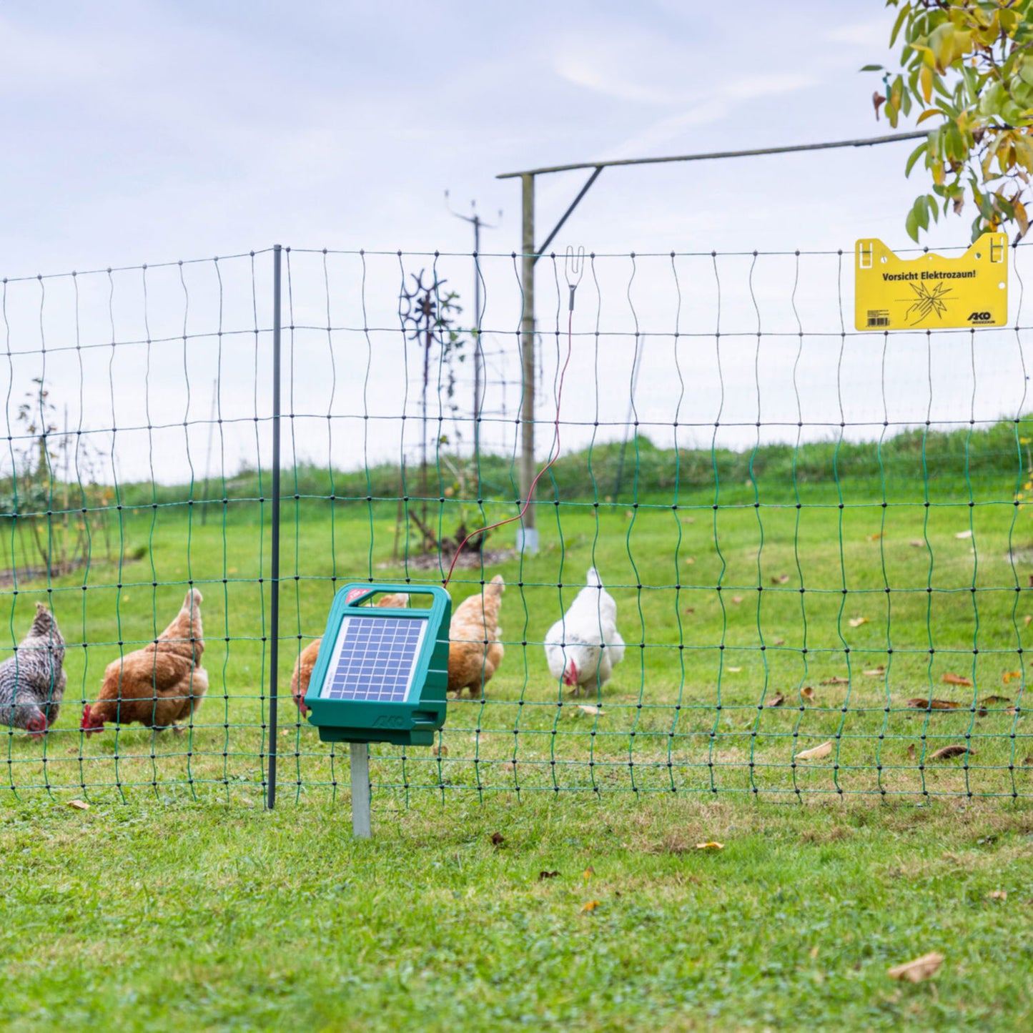 Geflügelnetz-Set 50m inkl. Solargerät