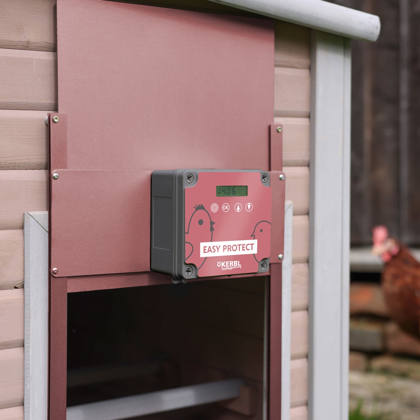 Automatische Hühnertür Easy Protect rosé Edition Set