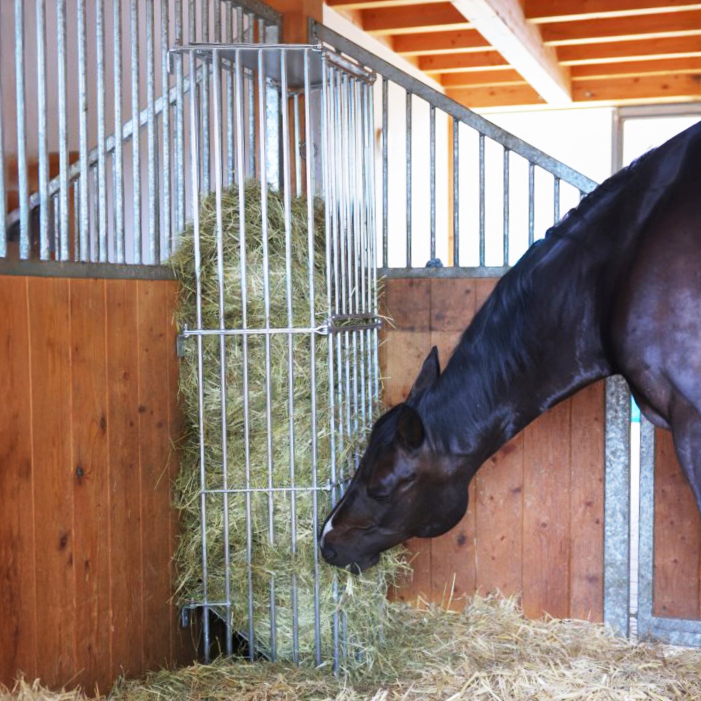 Aufsatz für Wandraufe SlowFeed Plus