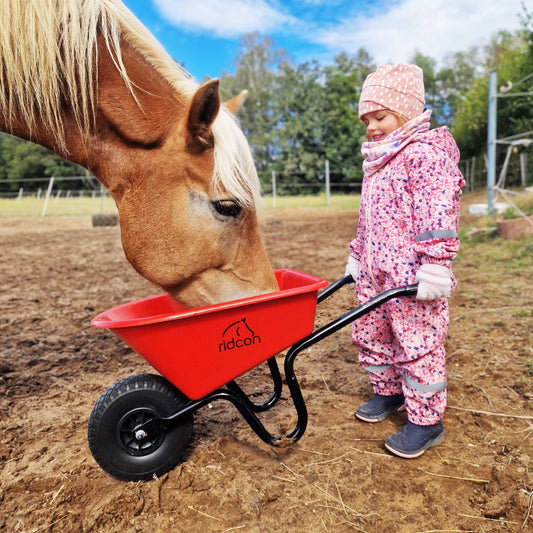 Kinderschubkarre Heidi, Hugo, Helga und Hans in verschiedenen Farben