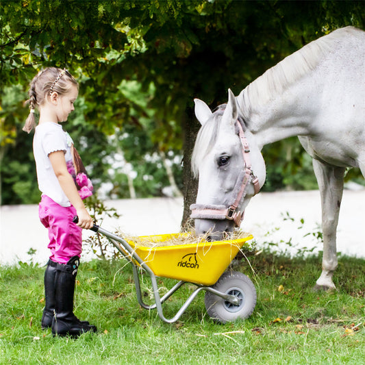 Kinderschubkarre in verschiedenen Farben