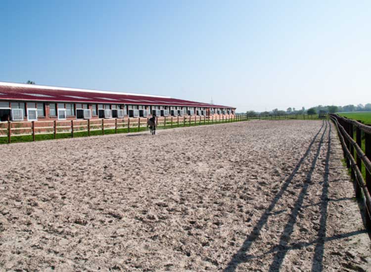 Reitplatzmatten