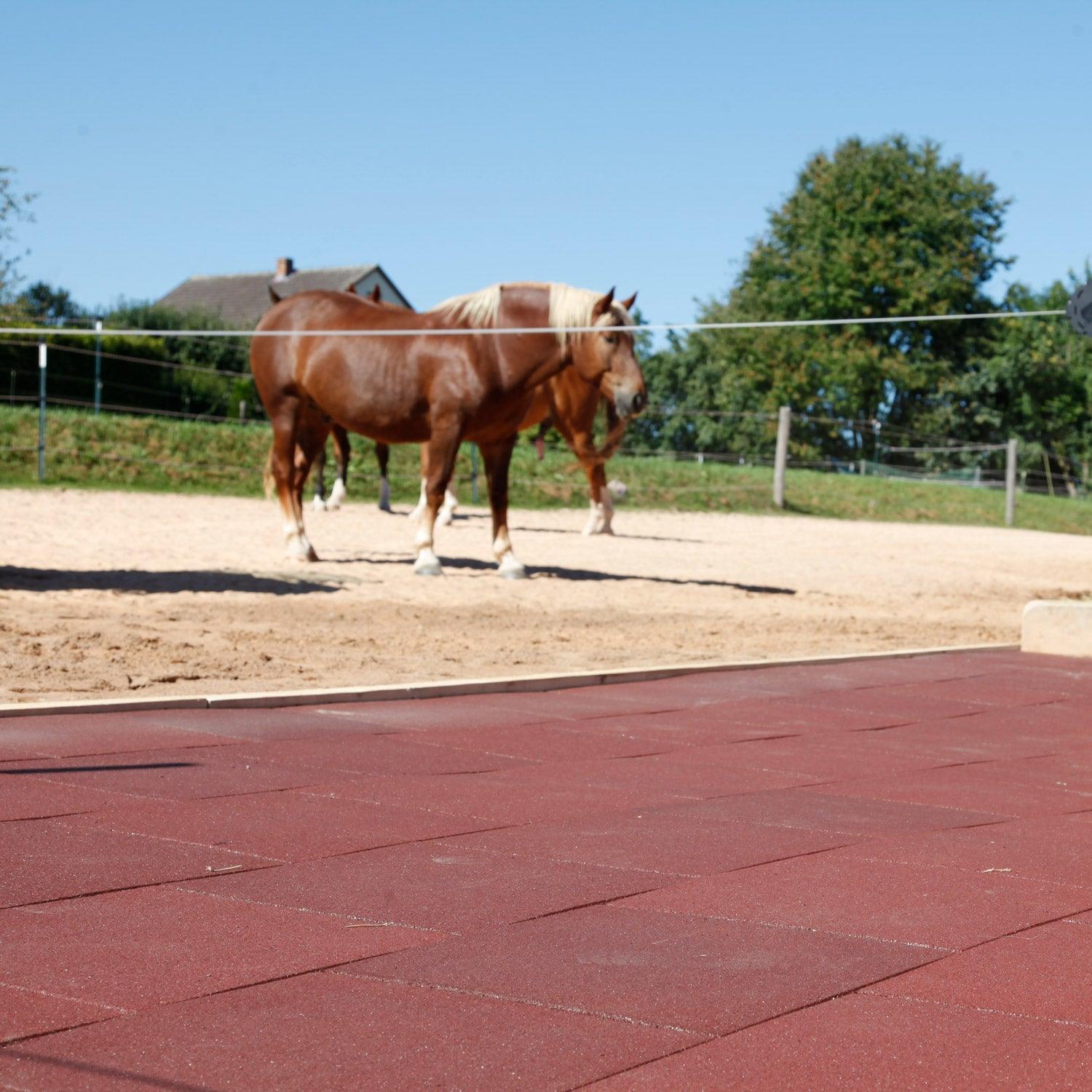 Stall- und Boxenmatten & Pferdebetten