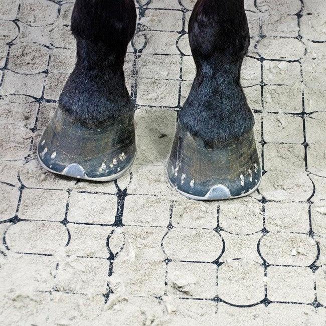 Paddockplatten & Reitplatzgitter