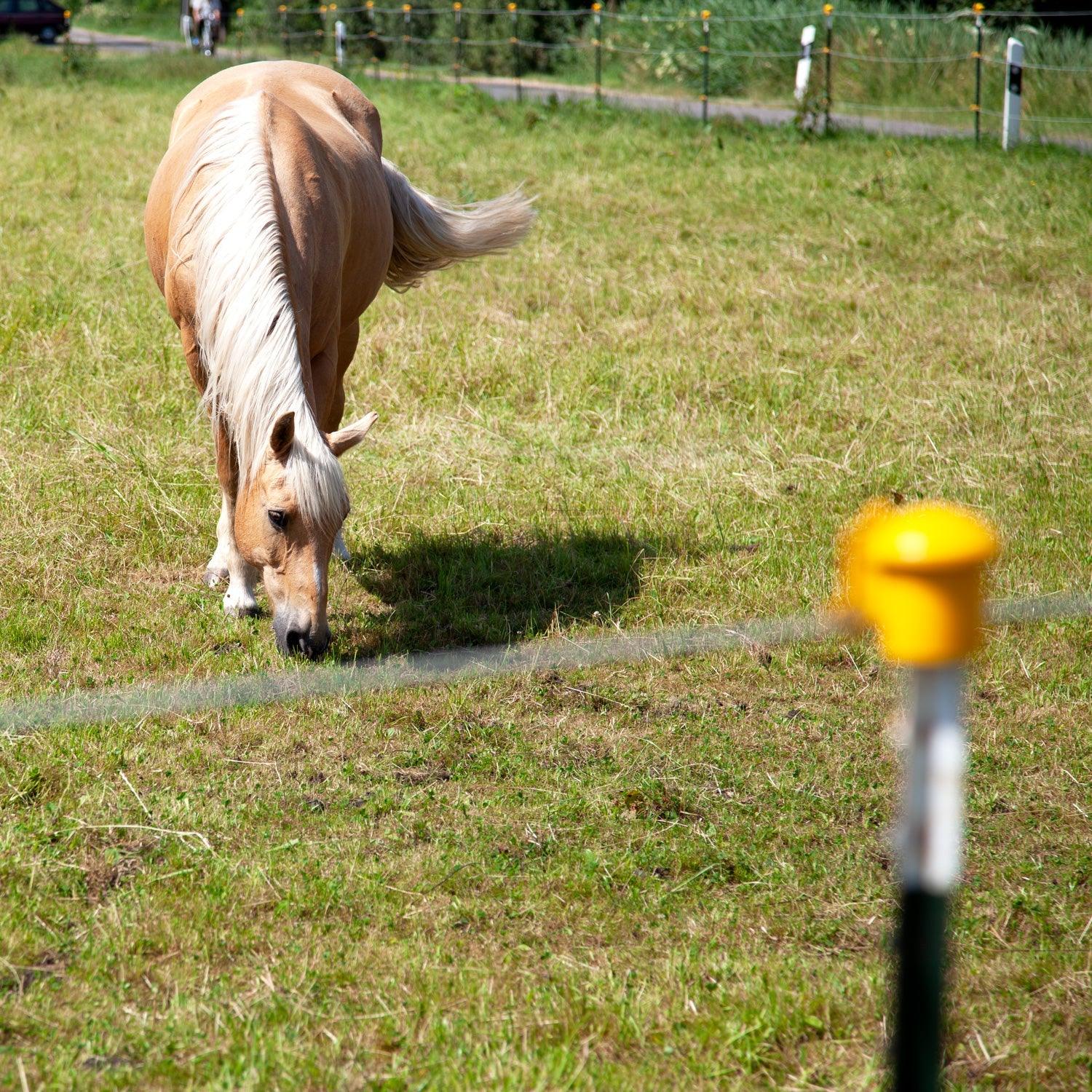 Weidezaun & Zaunzubehör