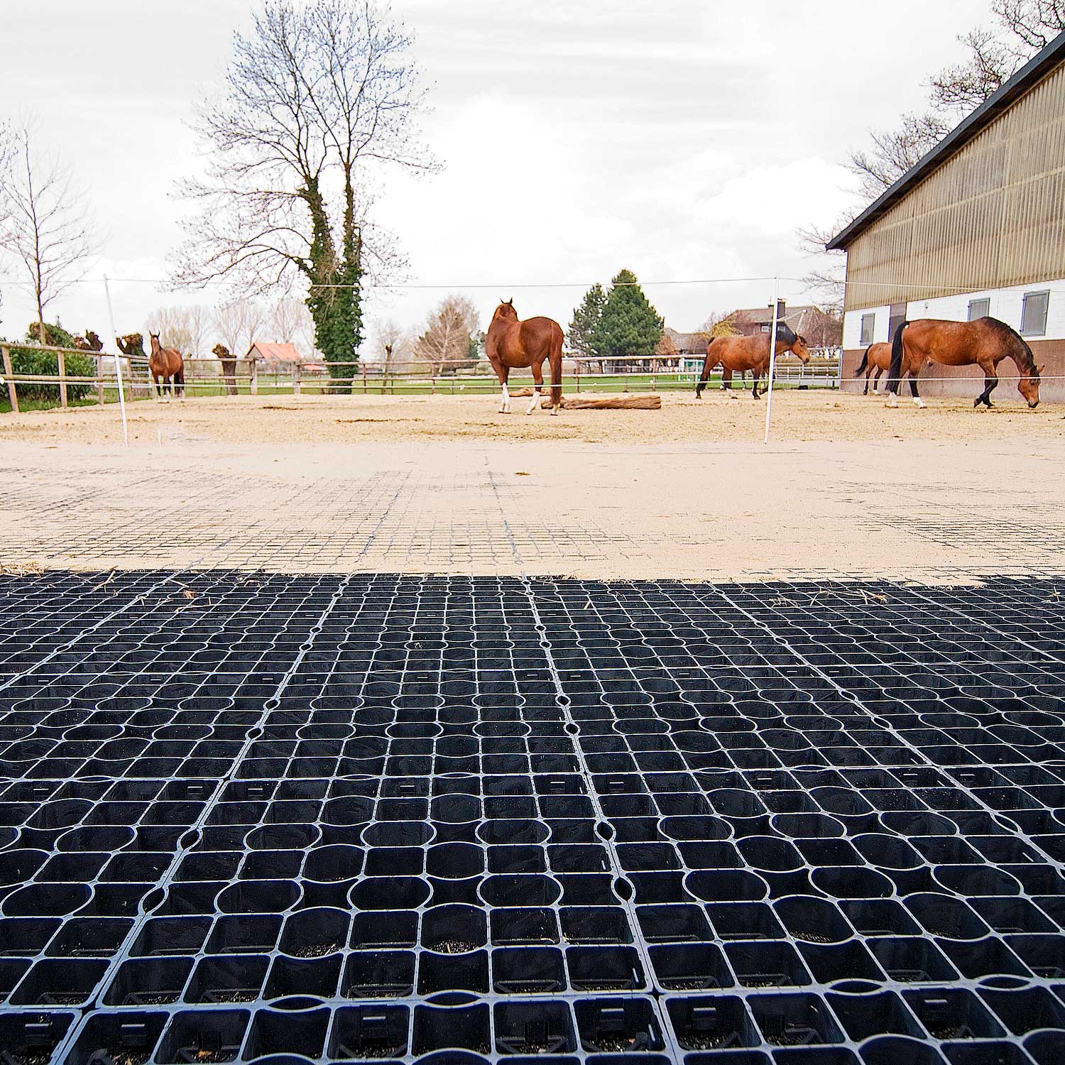 Paddockplatte - ProGrid RG 40 - 1m² entspricht 4 Platten 50x50x4cm