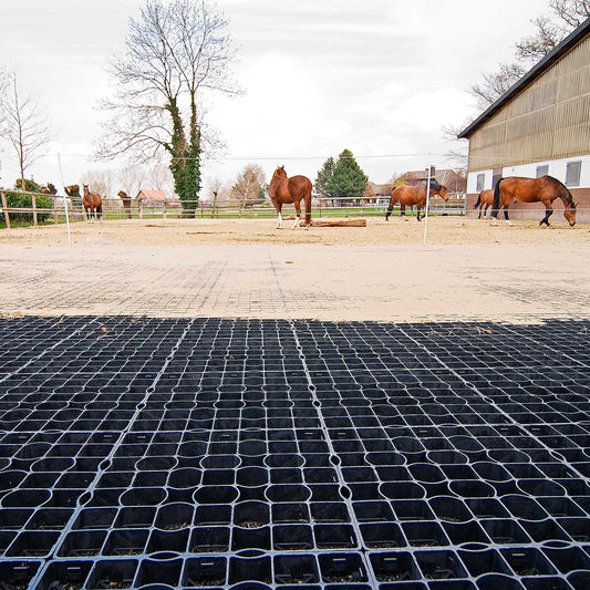 Paddockplatte - ProGrid RG 40 - 1 m² entspricht 4 Platten 50x50x4 cm