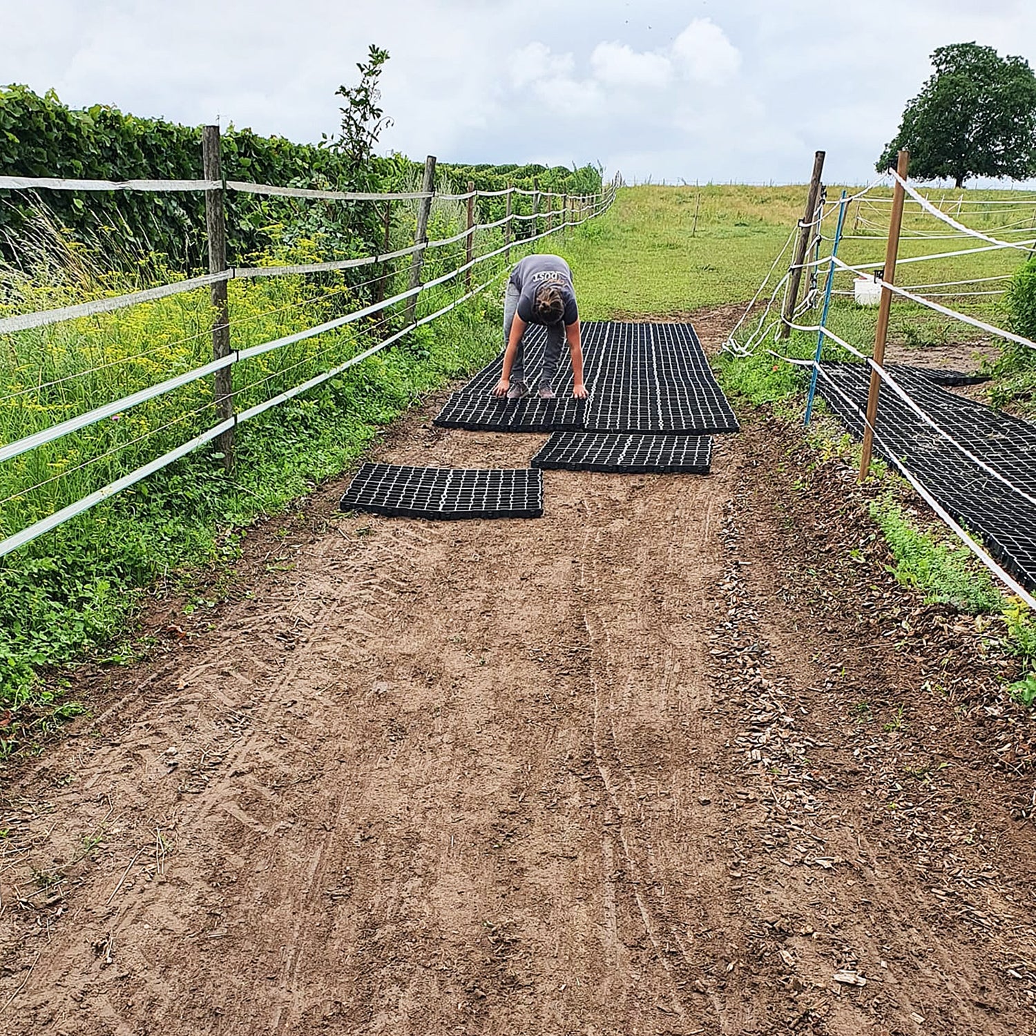 Paddockplatte ProGrid SG40 Spider - Verlegung ohne Unterbau möglich.
