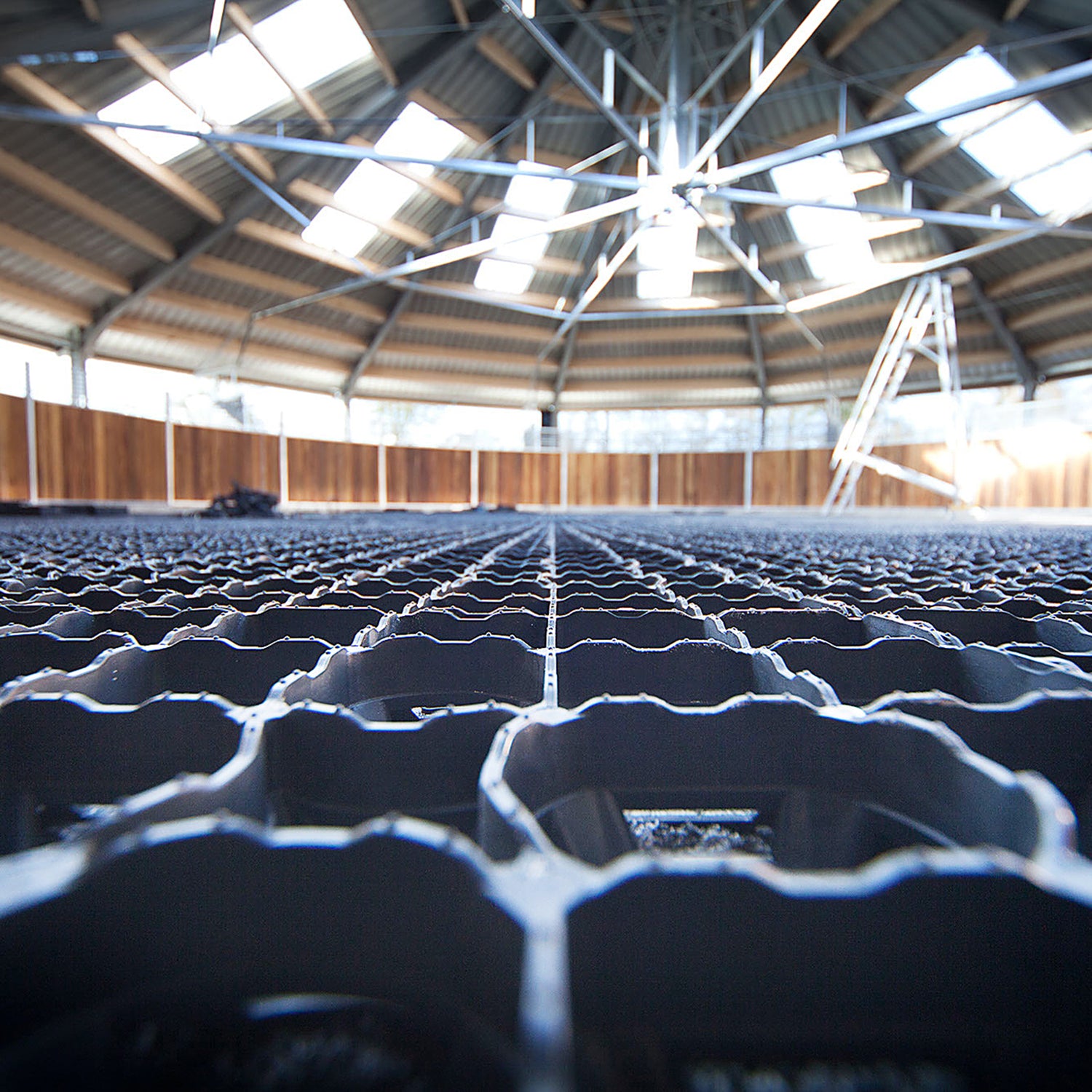 Reitplatzmatte ProGrid RG 40 Evolution - 1m² entspricht 4 Platten 50x50x4cm