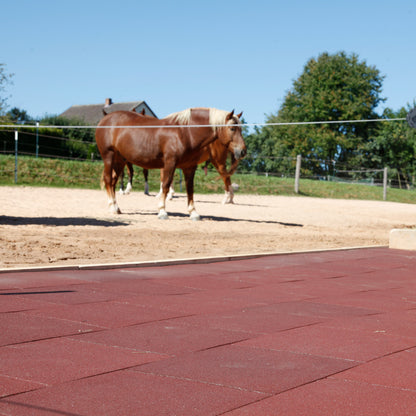 Komfort Stall- und Boxenmatte, rotbraun, 1m² entspricht 4 Platten mit je 50x50x4cm