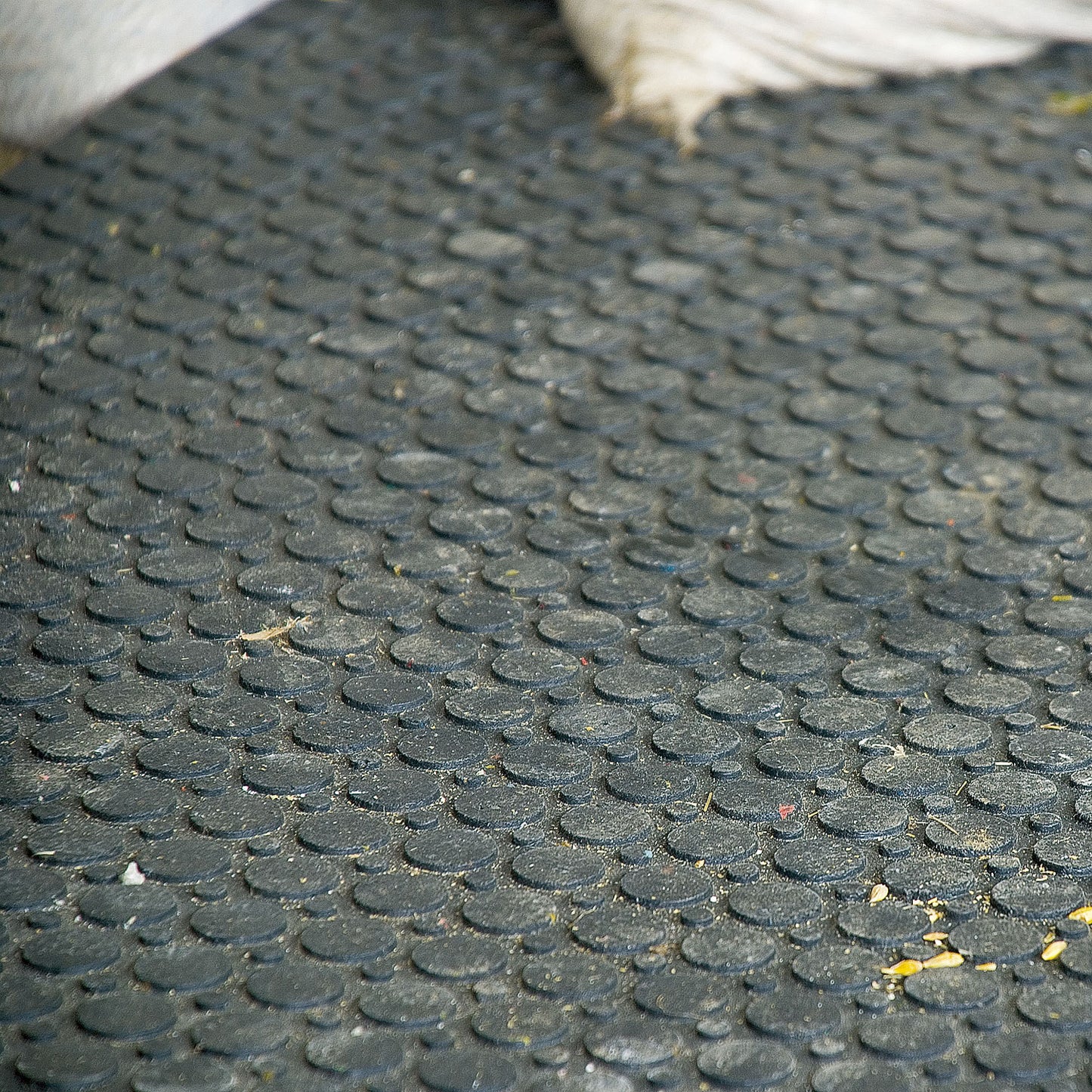 Allround Stallmatte SOLID 120x80x2,5 cm