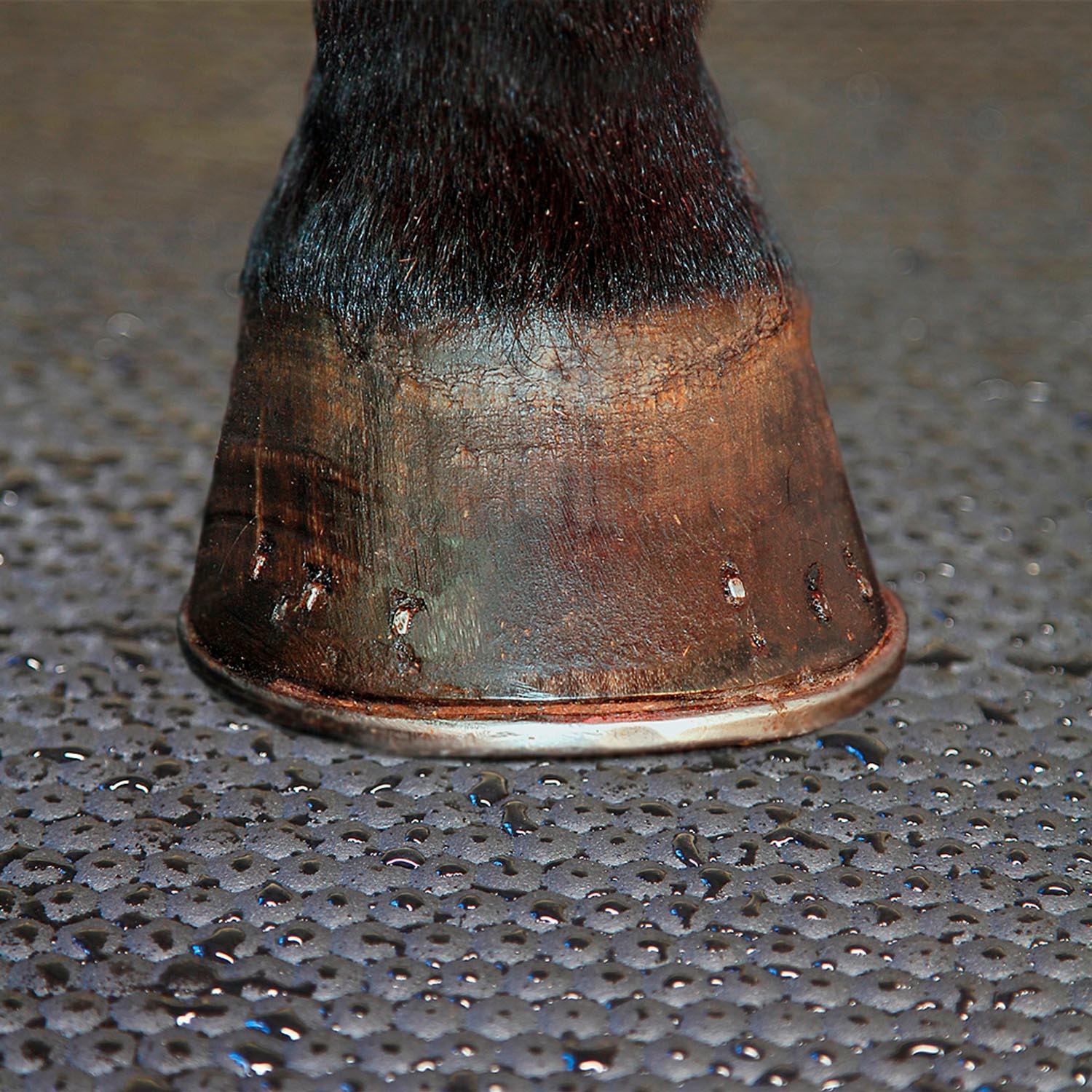 Puzzle Boxenmatte aus Vollgummi, schwarz, 116x78x1,8cm