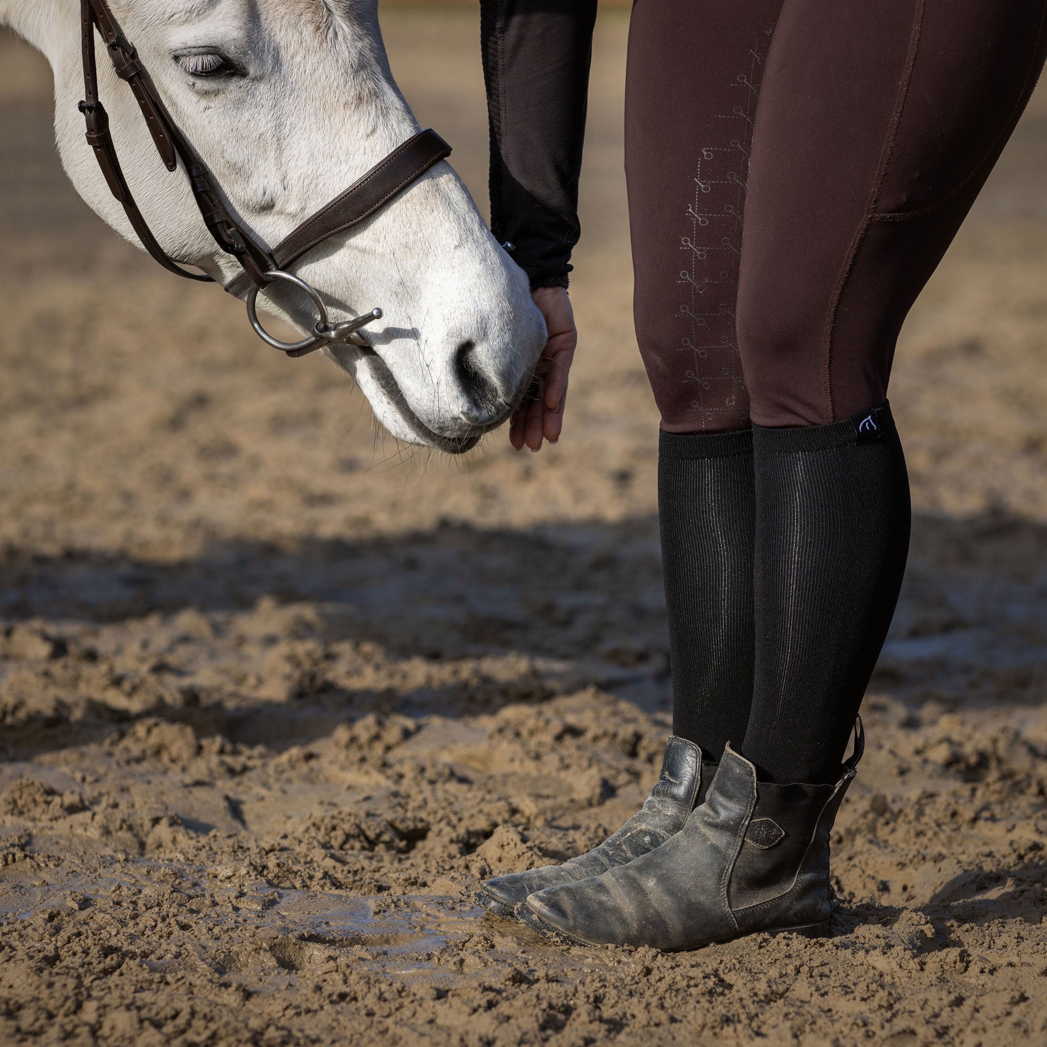 RIDCON Reitsocken in verschiedenen Farben und Größen
