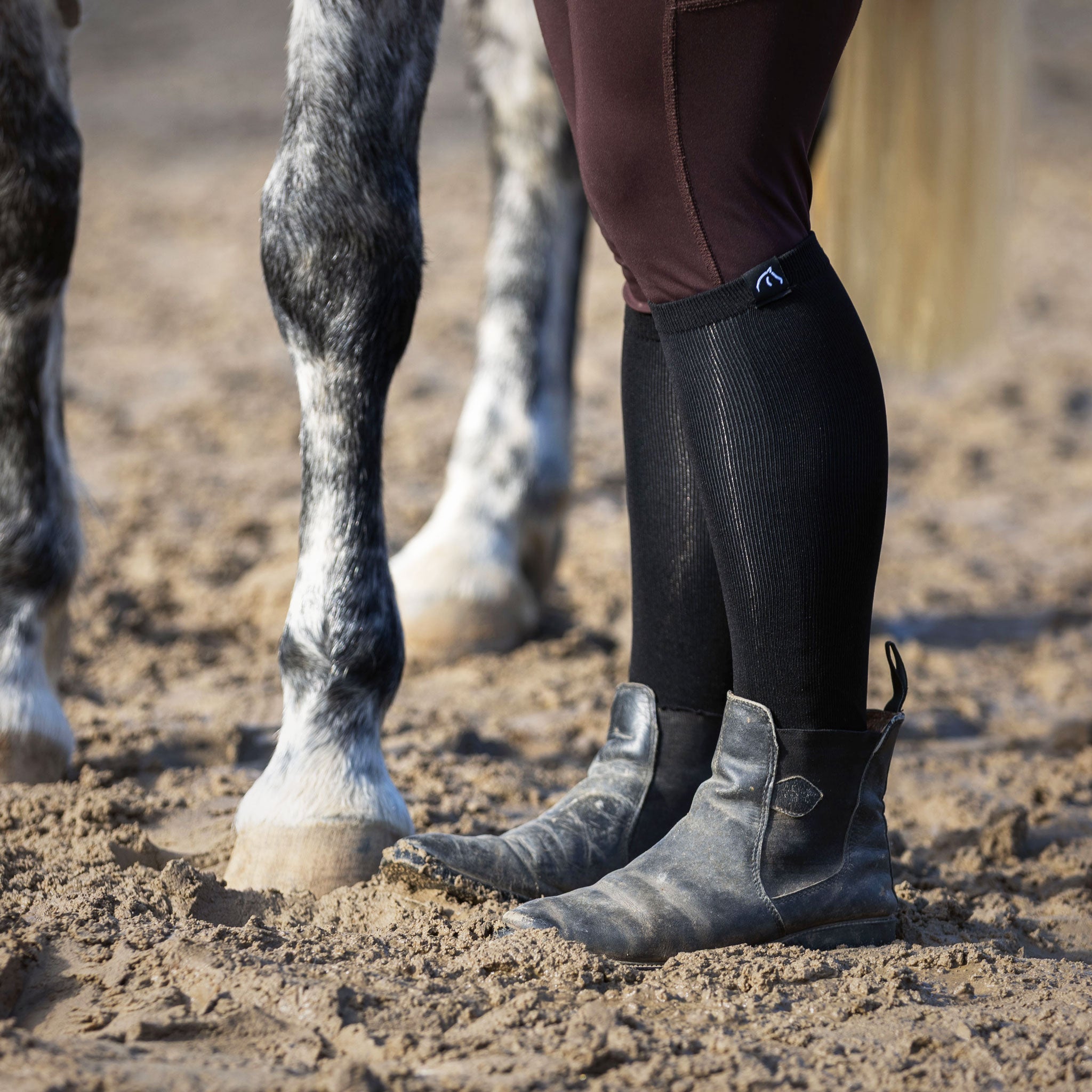 RIDCON Reitsocken in verschiedenen Farben und Größen