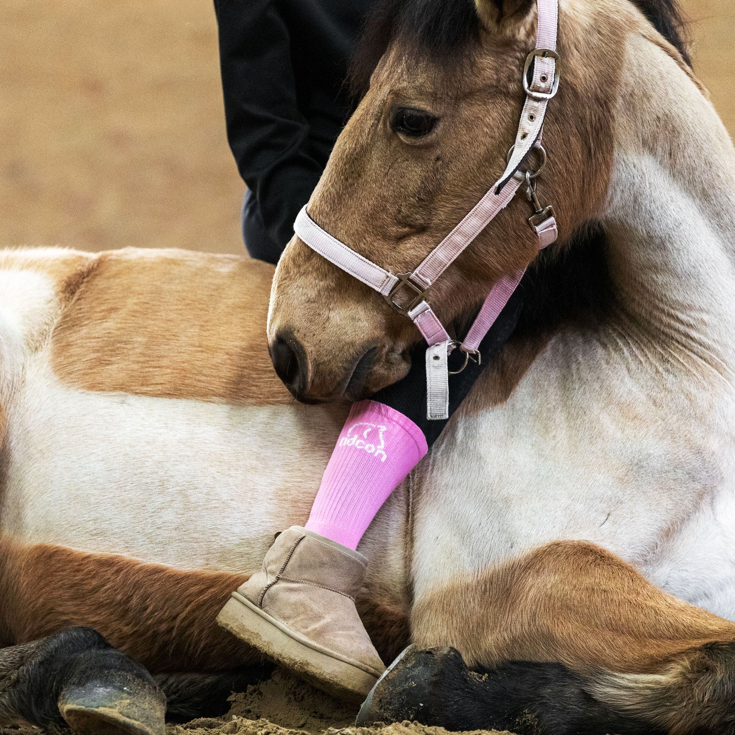 RIDCON Sportsocken in verschiedenen Farben und Größen