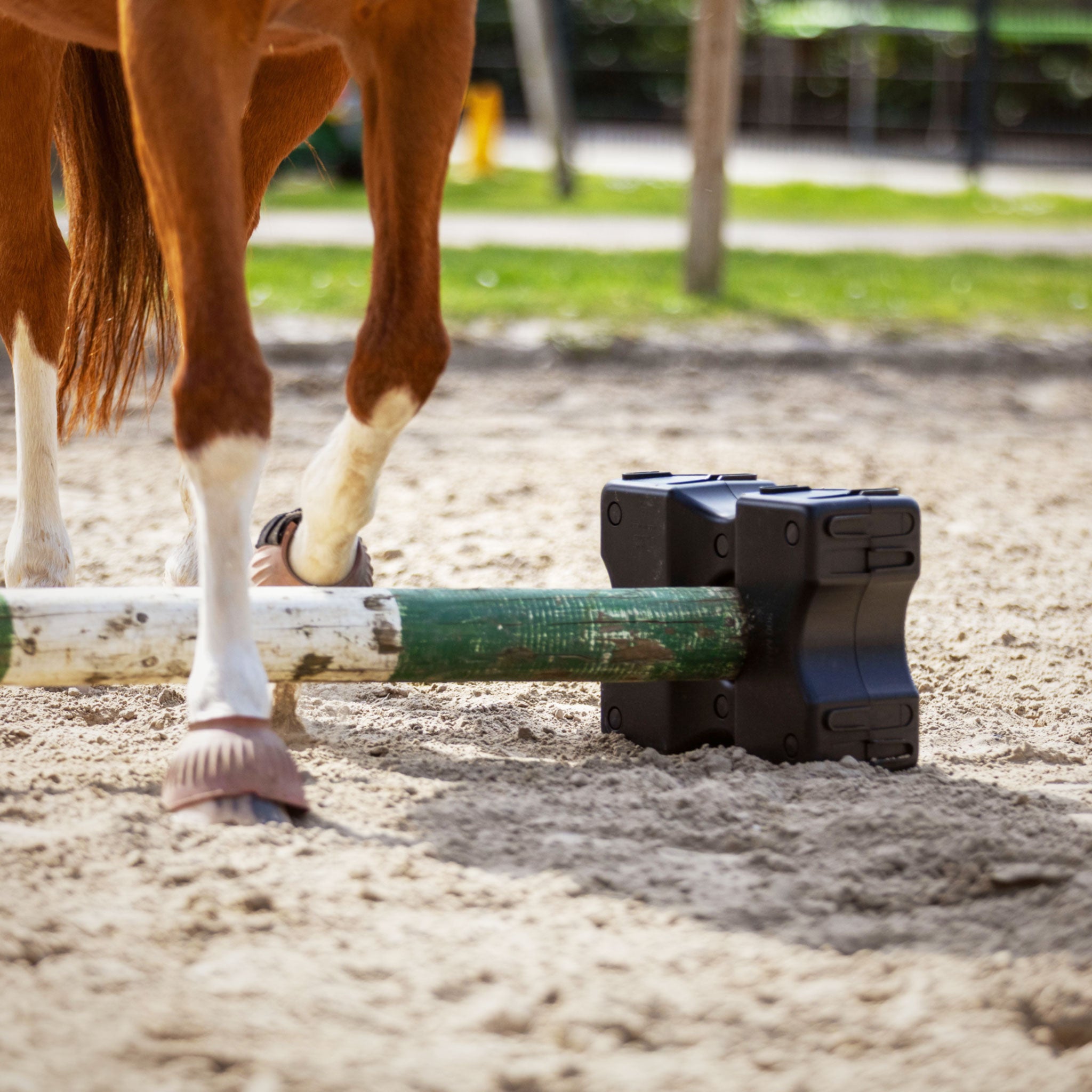 Cavaletti Block, 2er Set