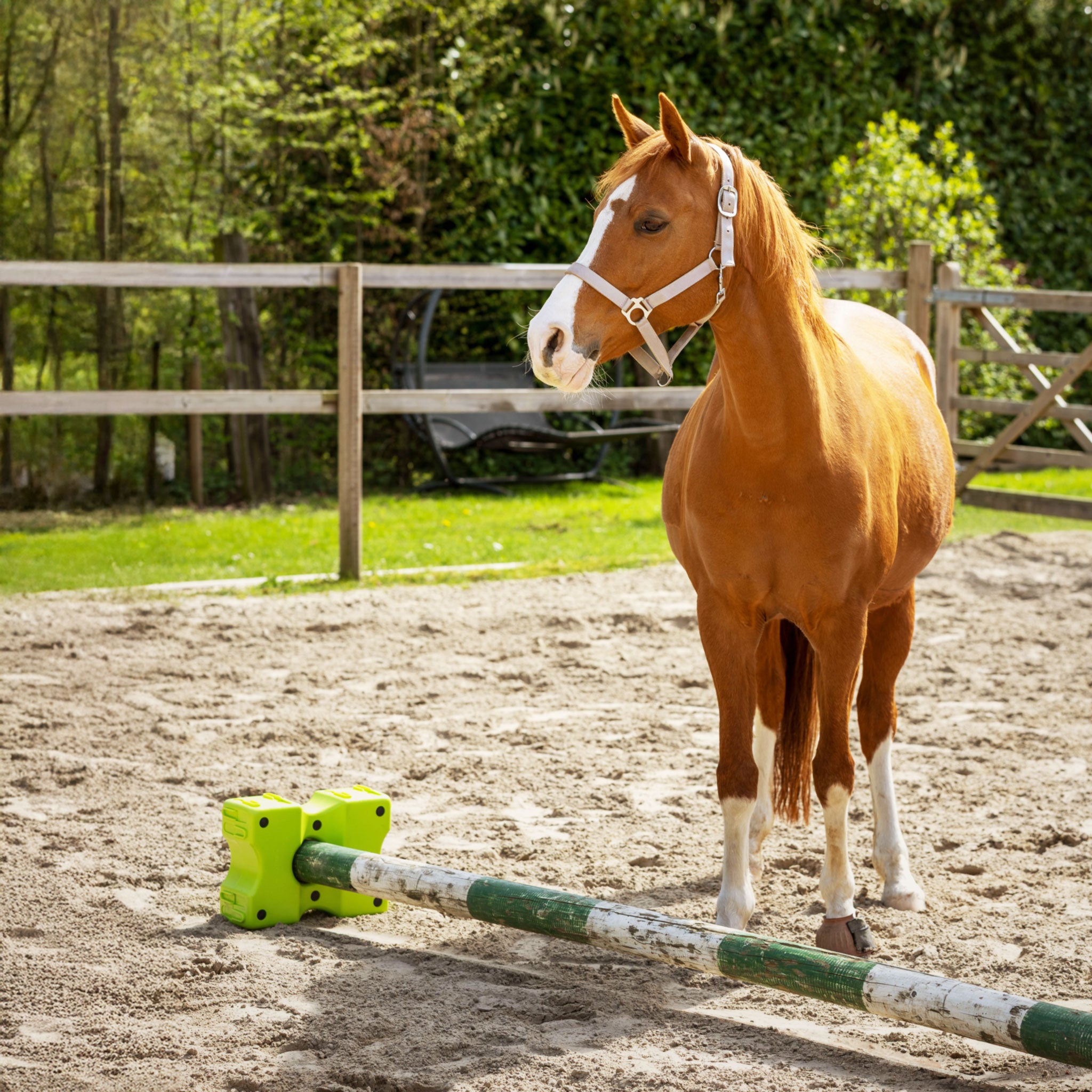 Cavaletti Block, 2er Set