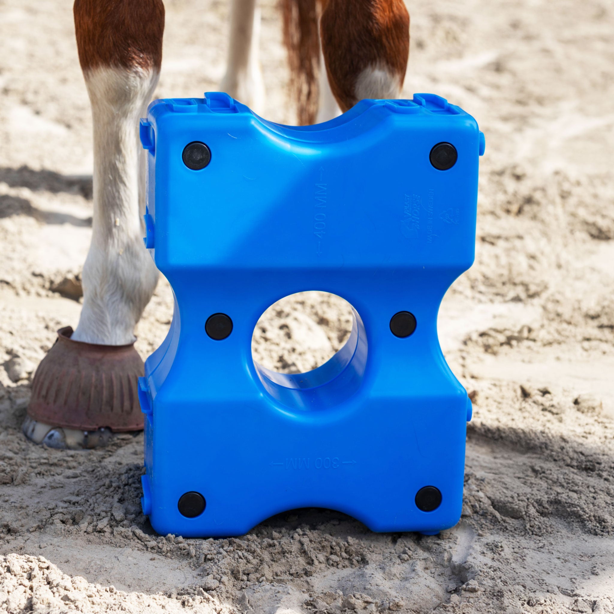 Cavaletti Block, 2er Set