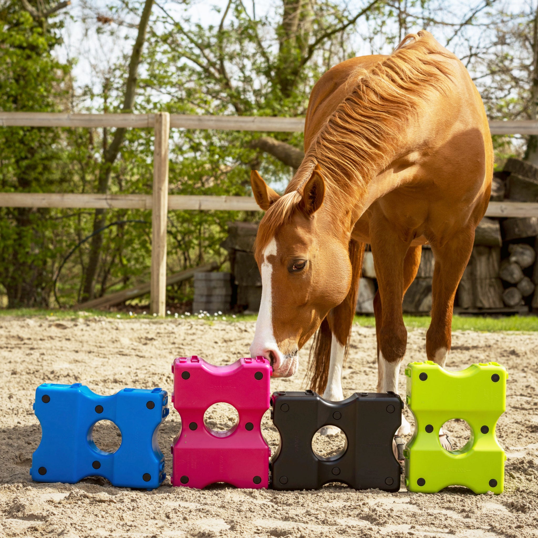 Cavaletti Block, 2er Set