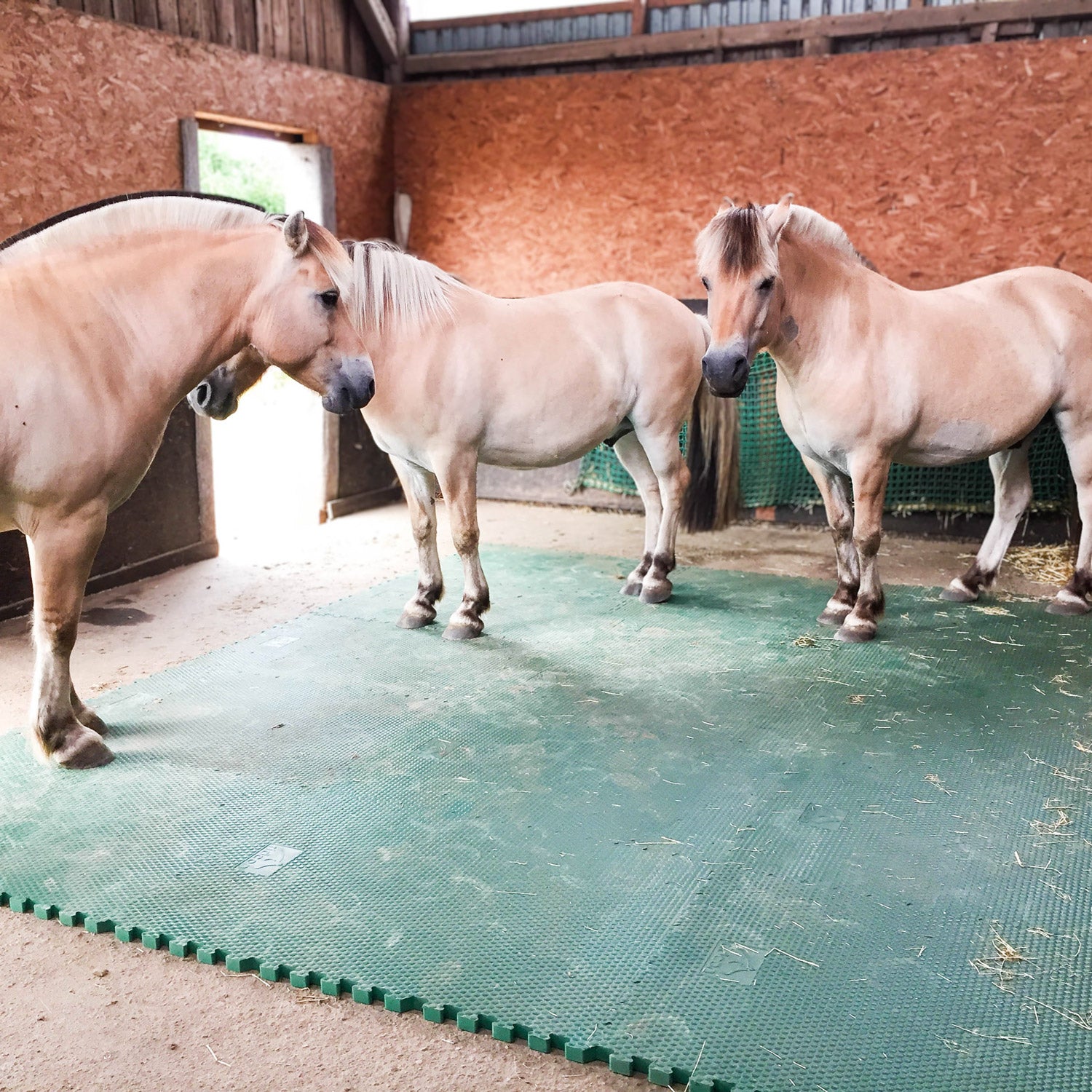 EVA-Stallmatte grün, mit Rundumverzahnung - 120x80x2,5cm