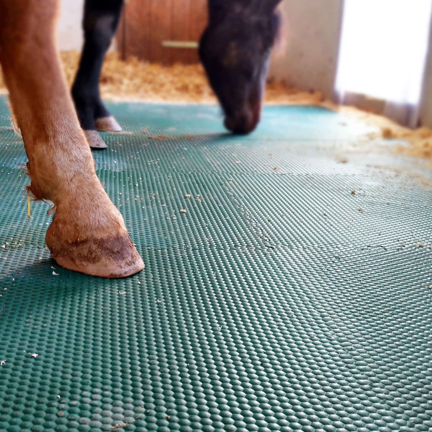 EVA-Stallmatte grün, mit Rundumverzahnung - 120x80x2,5cm