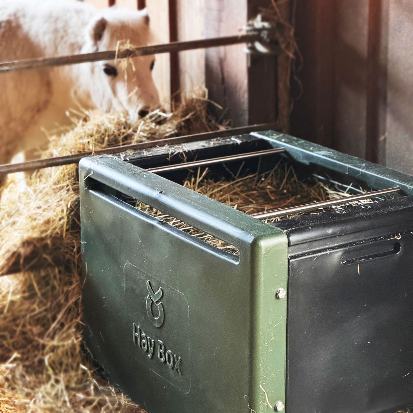 Futterraufe HeuBox
