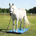 Hufmatte zum Wässern der Hufe - XL, Maße: 220x90cm