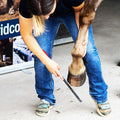 DICK Hufraspel mit Kunststoffgriff - 30cm lang