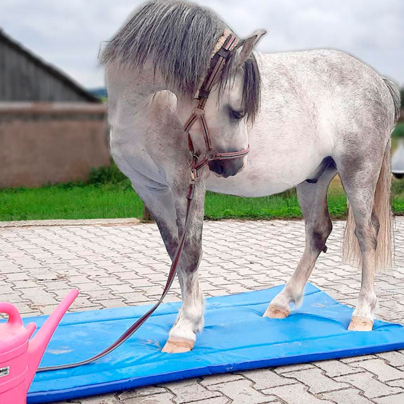 Hufmatte zum Wässern der Hufe, Maße: 180x90cm