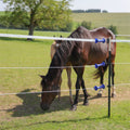 Torgriff Premium mit Federzugbegrenzung, Farbe: Blau