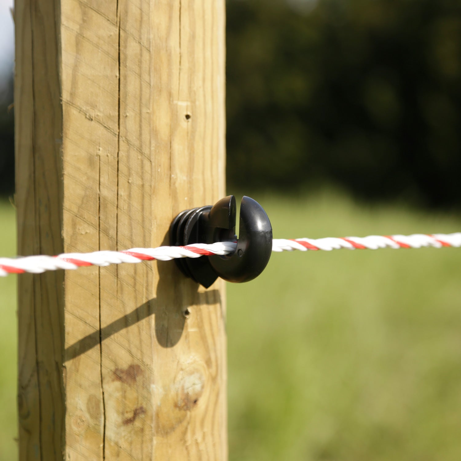 Ringisolator Easy Drill EDX - 75 Stück