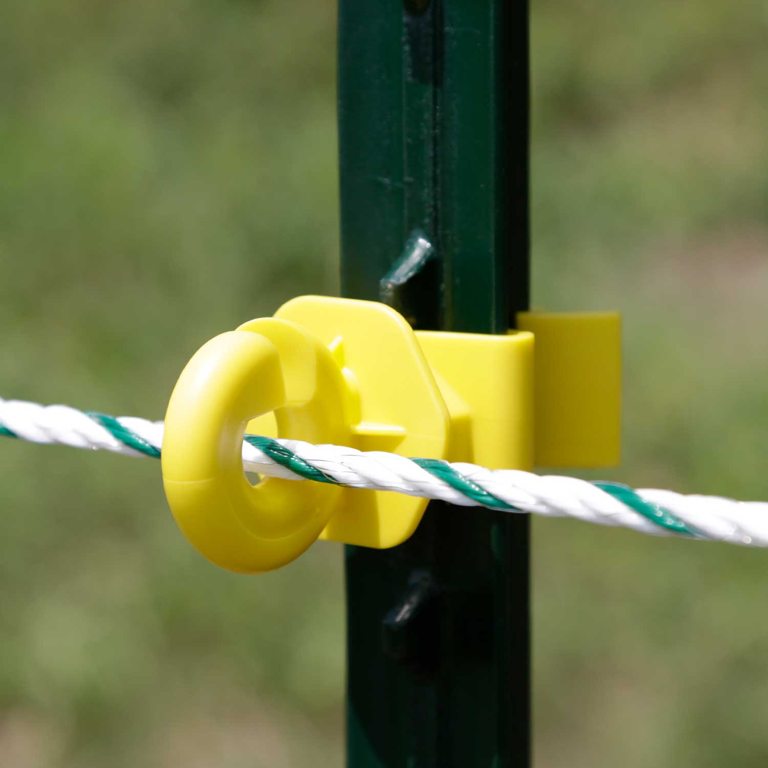 Ringisolator für T-Pfosten, 25er Pack,  gelb oder schwarz