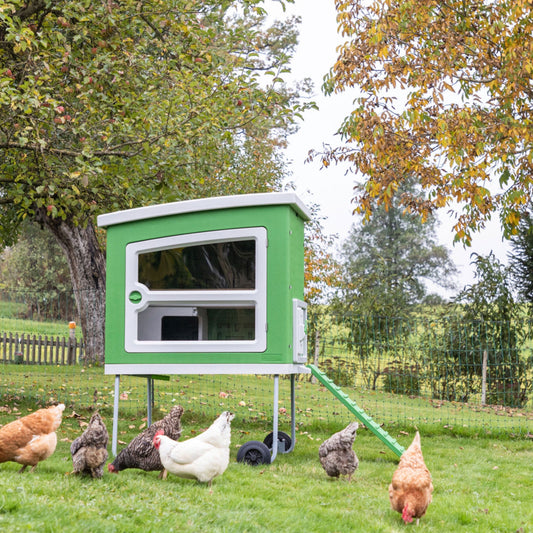Mobile Coop Hühnerstall aus Kunststoff