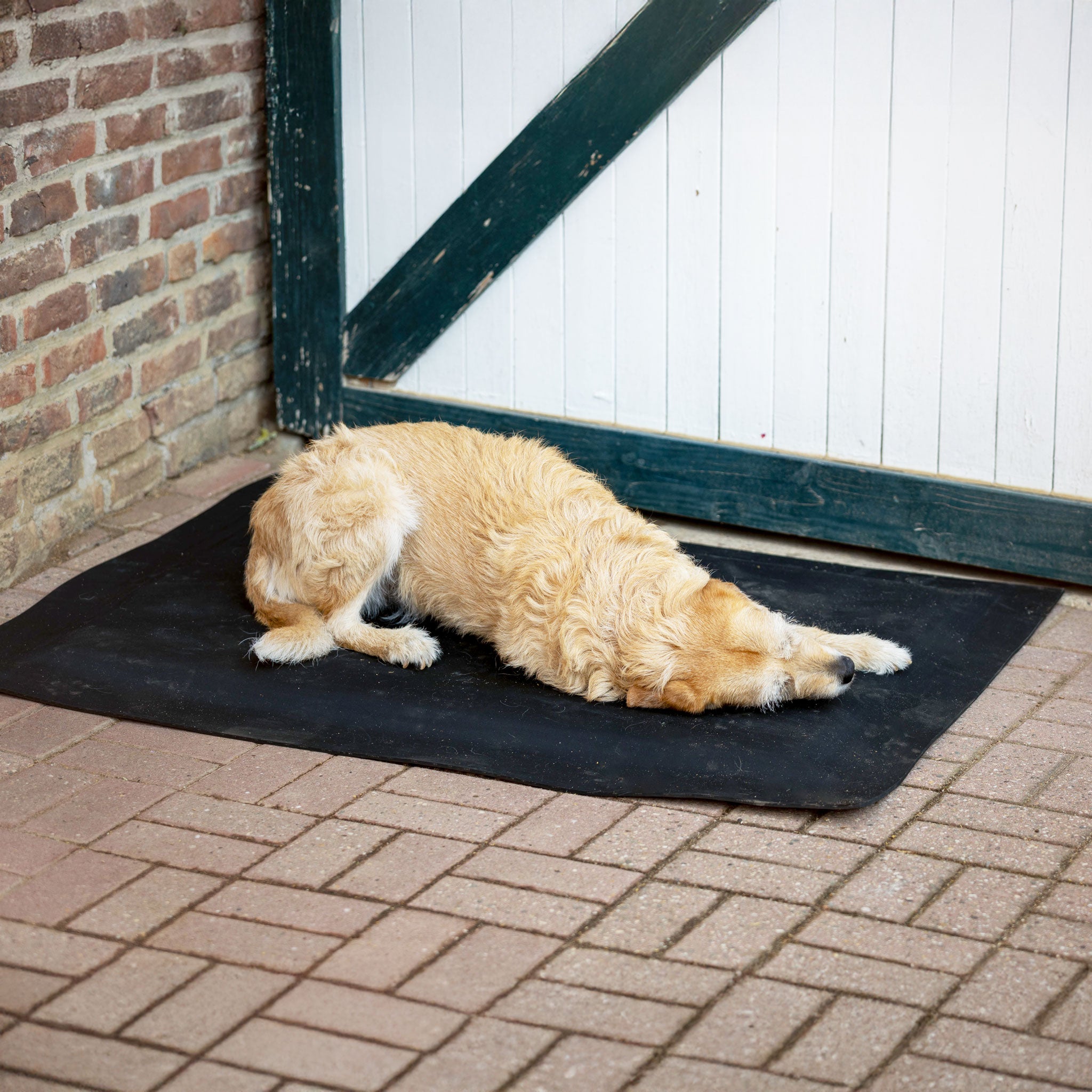 Hundebett Premium 1,00 x 1,25 m, 3,6 cm dick, Ansicht 3