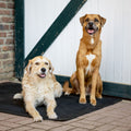 Hundebett Premium 1,00 x 1,25 m, 3,6 cm dick