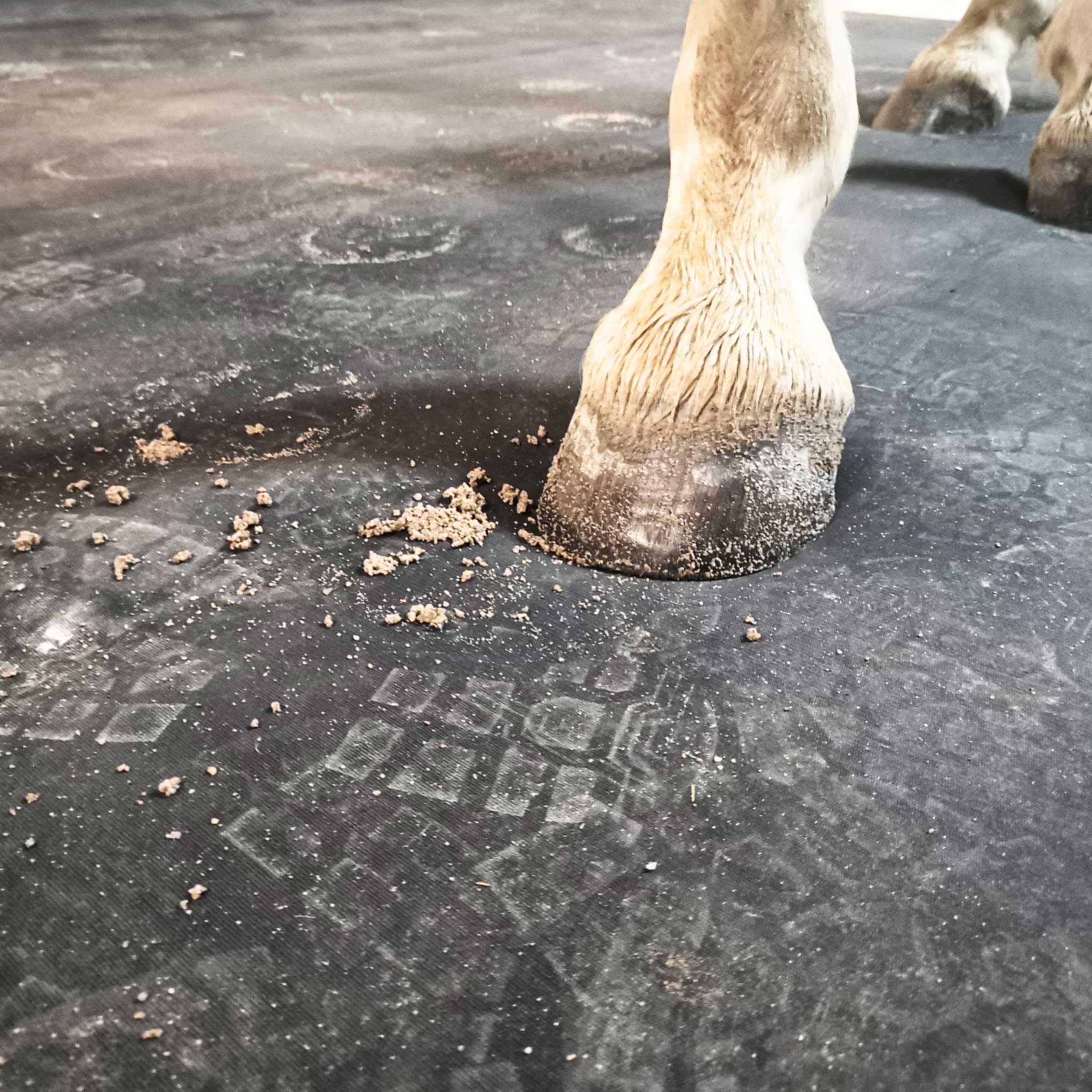 Variobed 3x4m - Komplettboden als Bausatz mit Schaumstoffkern